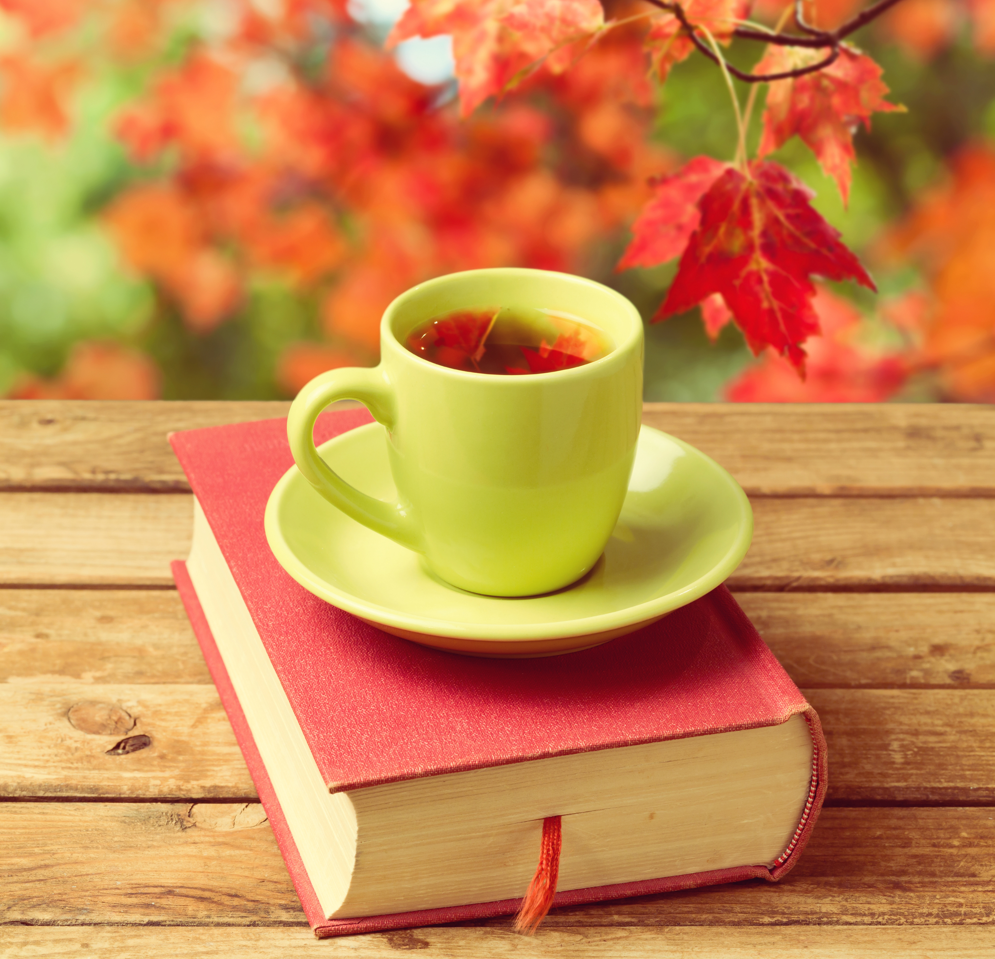 Book and tea