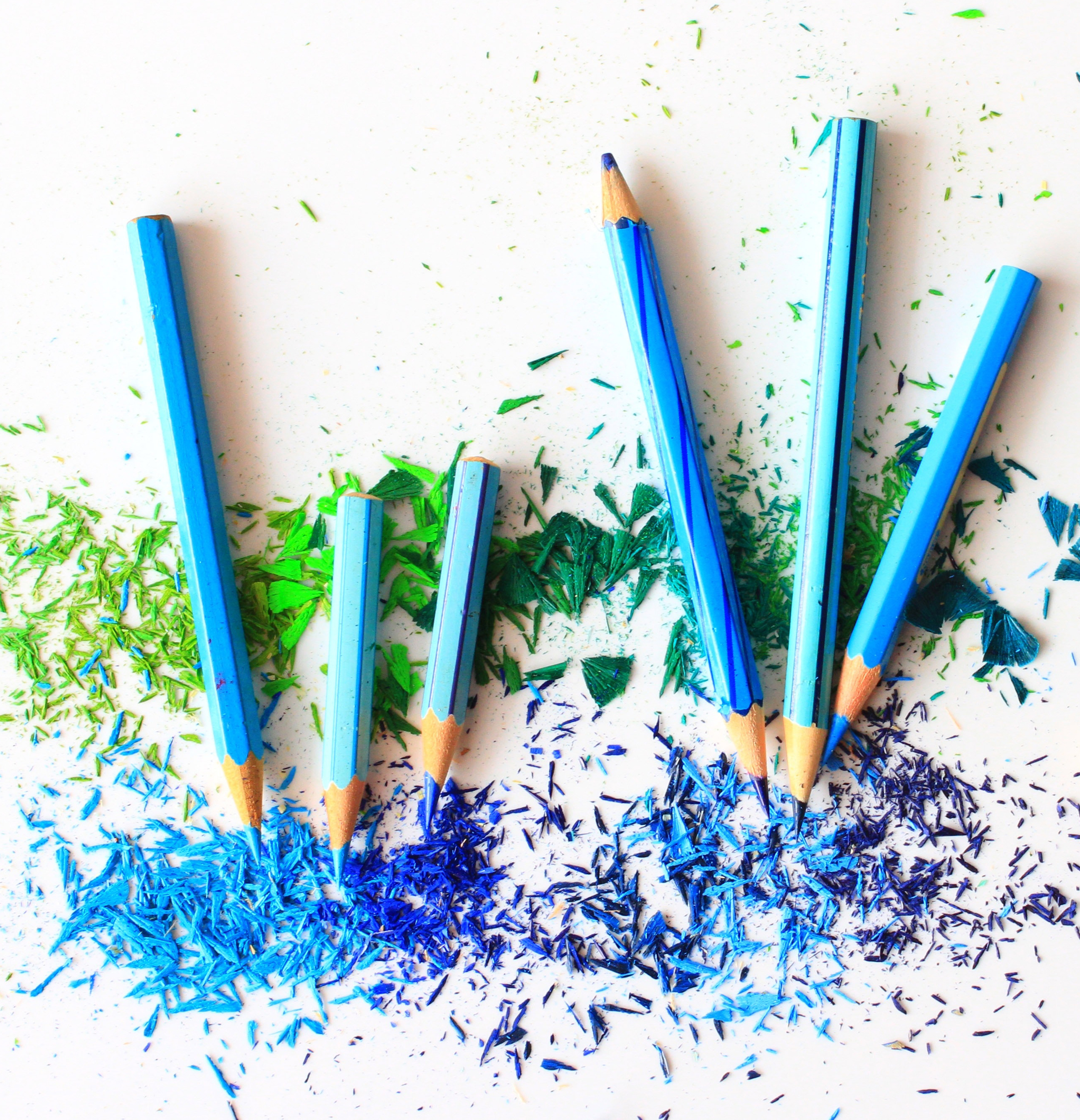 A photograph of six blue coloured pencils laying on pencil shavings