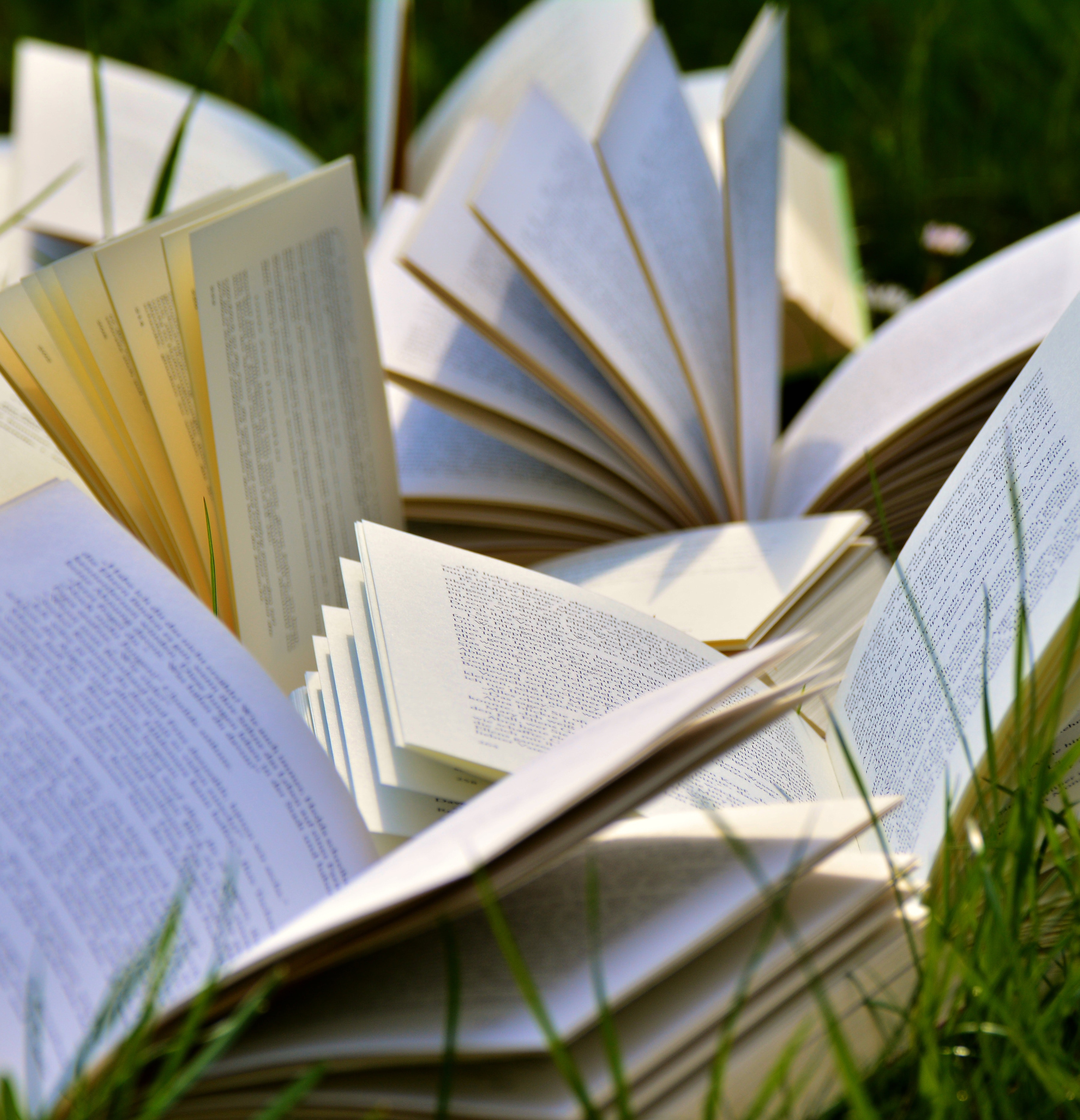 A photograph of open books laying in the grass