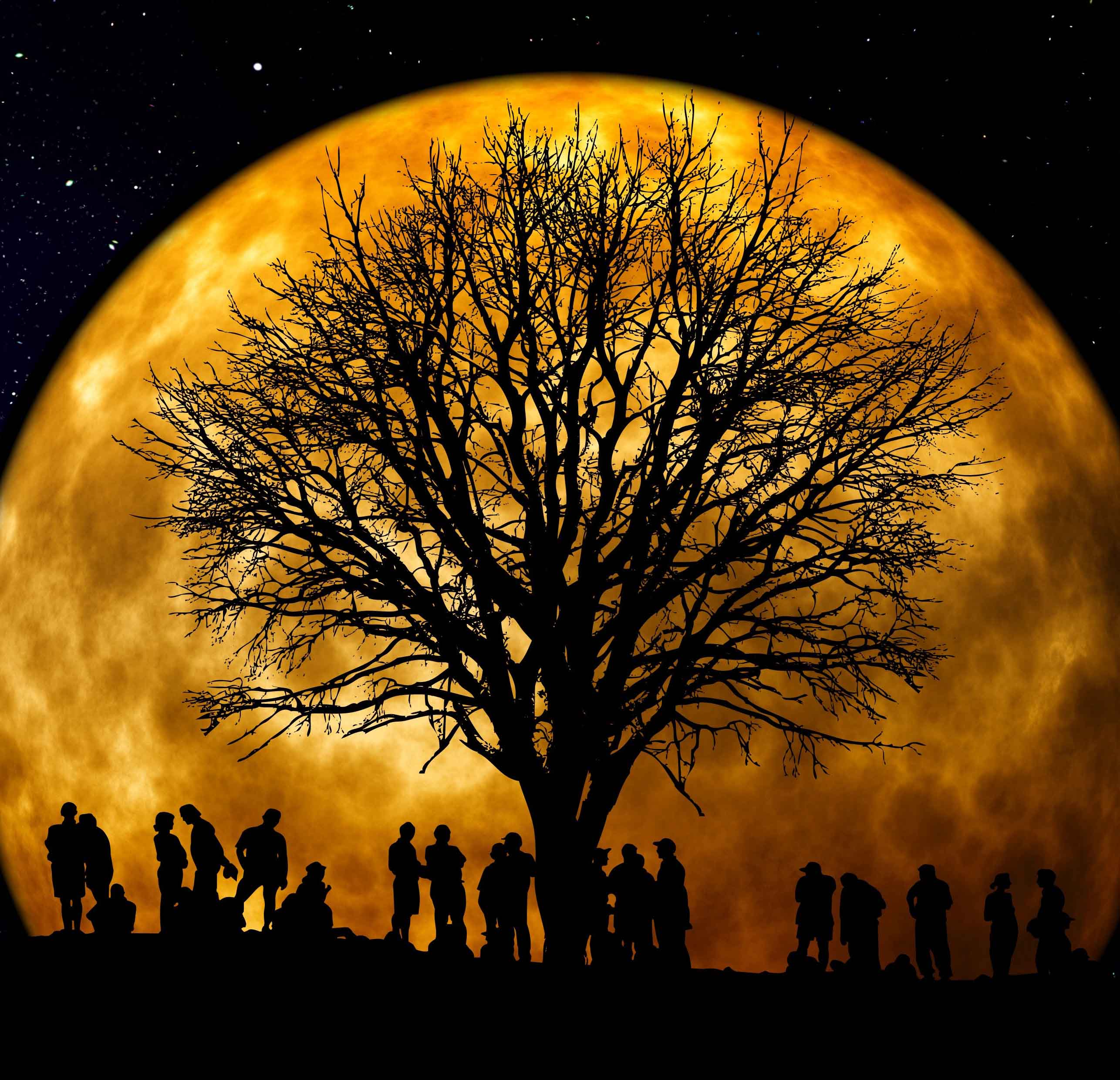 silhouette of tree and people in front of large orange moon