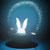 rabbit in a magician's hat