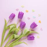 Photo of Spring flowers