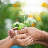 two sets of hands holding a growing plant