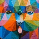 multicoloured dog mural