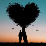 silhouette of heart-shaped tree and person