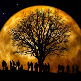 A group of people gathered around a bare tree with a full moon behind