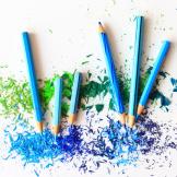 A photograph of six blue coloured pencils laying on pencil shavings