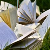 A photograph of open books laying in the grass