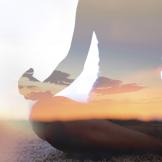 Silhouette of person seated on ground