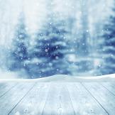 Winter trees and snow