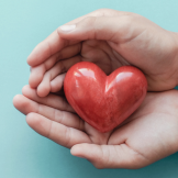 hands with heart
