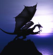 a dragon